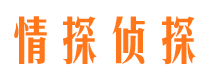 东丰市场调查